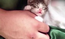 娱乐爆料小浣熊,娱乐圈最新动态大揭秘！